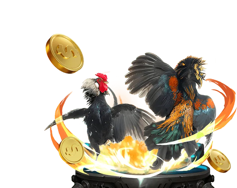 Cá cược bóng rổ tại 66win